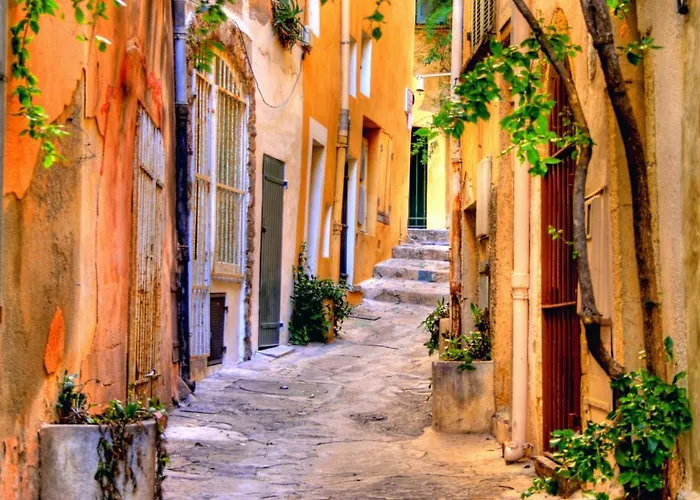 Un nid à Saint Tropez