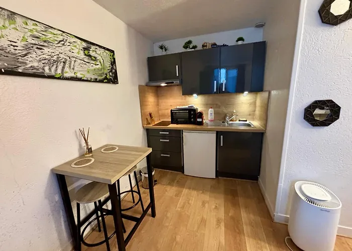 Cosy Studio In Nogent-Sur-Marne, City Centre, Wifi