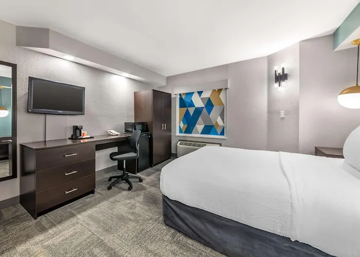 Hôtel accueillant les animaux: Sleep Inn Miami Airport