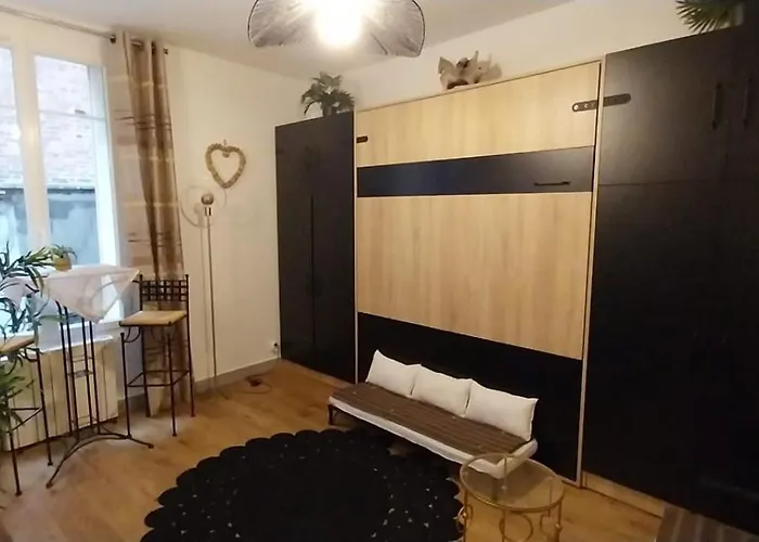 Agréable studio proche Paris et Porte de Versailles