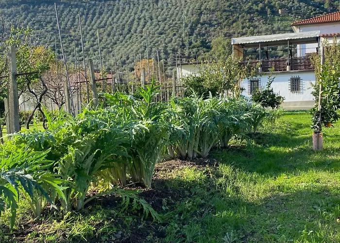 La Tenuta Di Eva