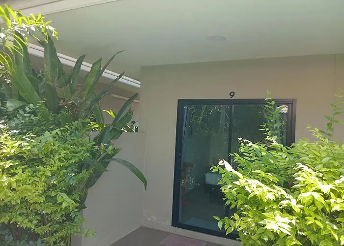 Tropical House​