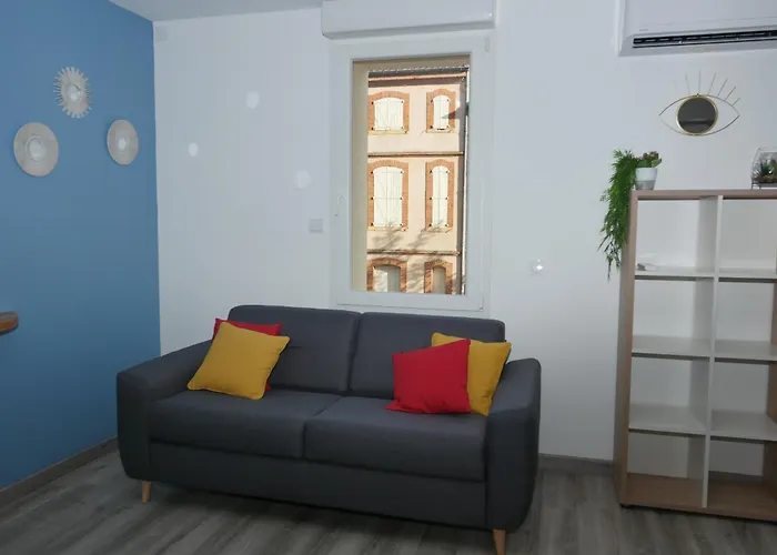 Hôtel accueillant les animaux: Appart Hôtel Albi