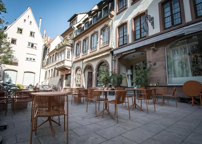 Hôtel accueillant les animaux: Hotel Rohan, Centre Cathédrale