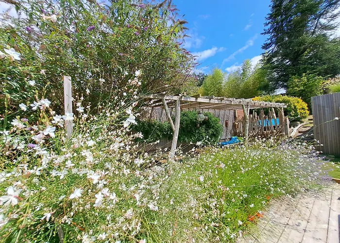 Hôtel accueillant les animaux: La Villa Hossegor