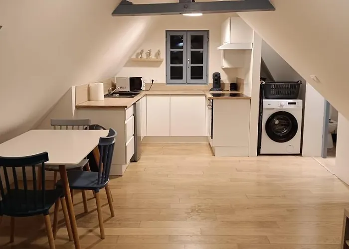 Appartement cosy 1 chambre avec parking au coeur du centre ville