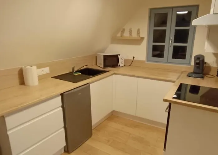 Appartement cosy 1 chambre avec parking au coeur du centre ville