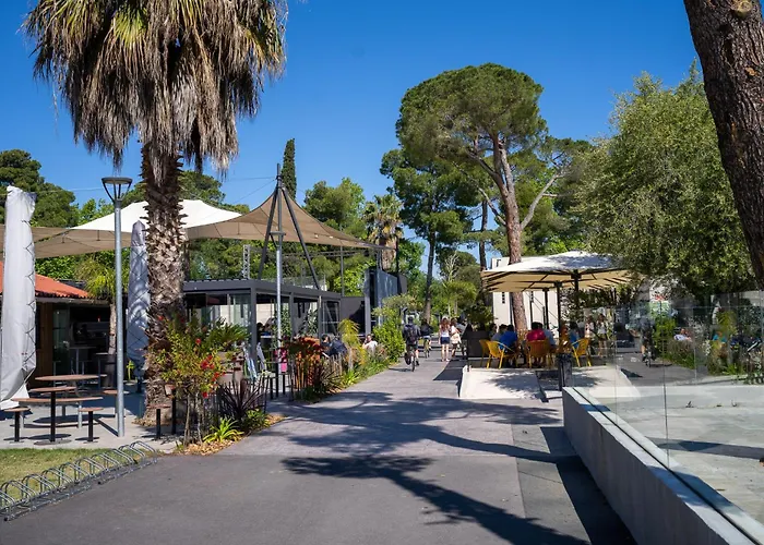 Camping Taxo Les Pins