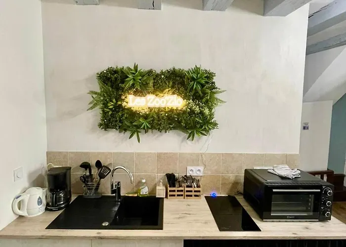 Gite Le Nid des Zoo Zio, 5mn Beauval, appartement terrasse centre-ville
