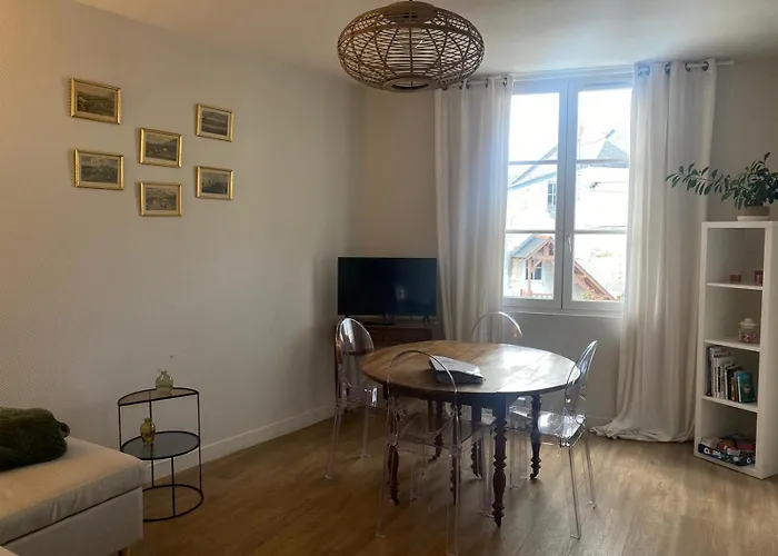 Les marronniers appartement centre Saumur bord de Loire