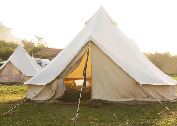 Animaux admis Aparra Surfcamp Auberge