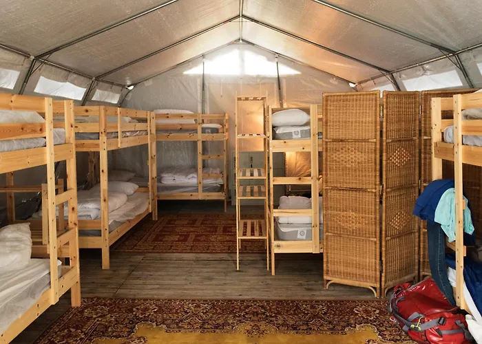 Animaux admis Aparra Surfcamp Auberge