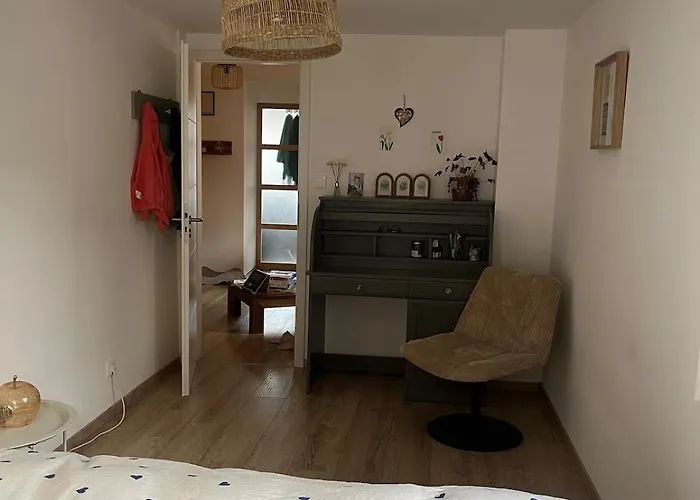 Appartement cosy et central