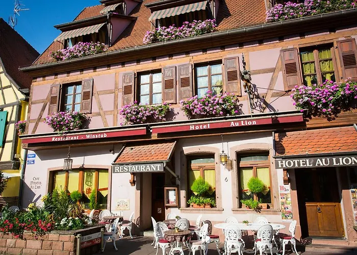 Hôtel Au Lion