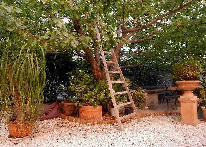 Pension de Famille Jardin Vieux Port Panier