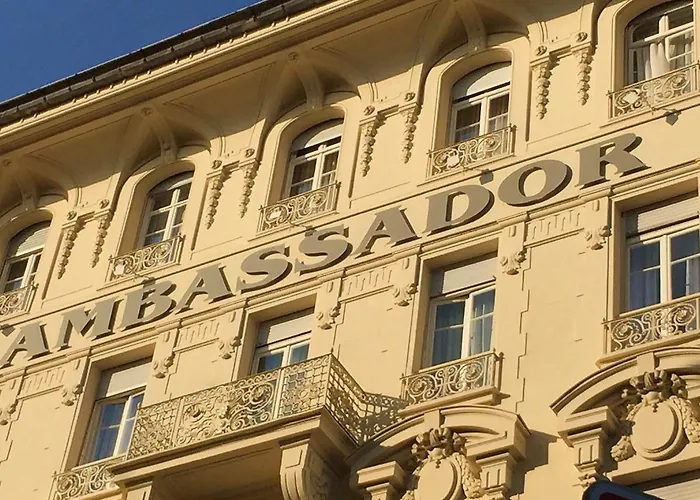 Animaux admis Ambassador, Completely Renovated